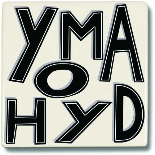 Yma O Hyd Coaster