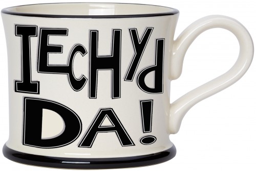 Iechyd Da ! Mug